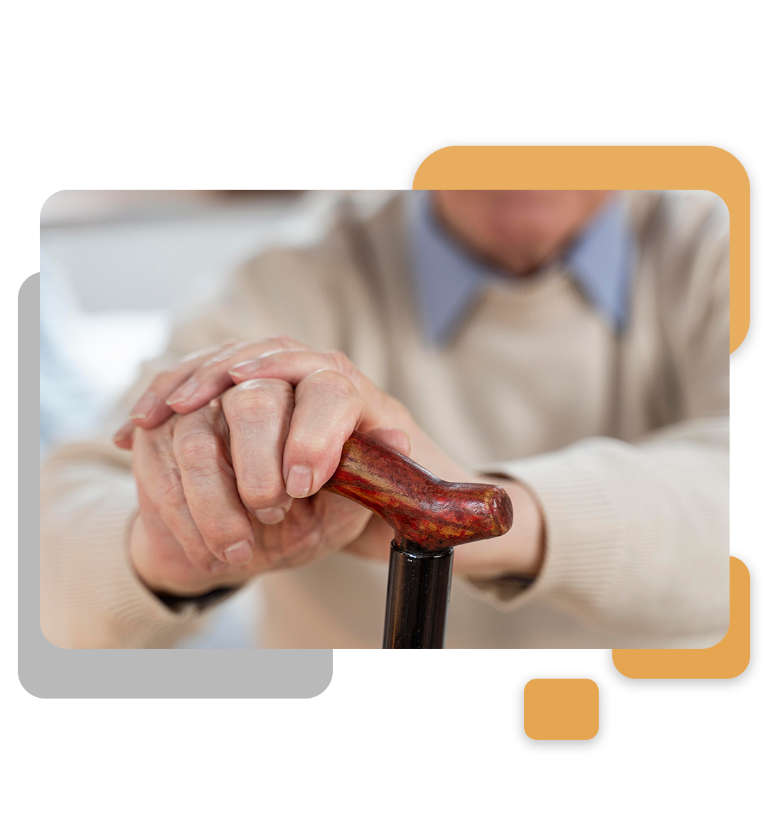 beneficio assistencial a pessoa idosa - BPC / LOAS